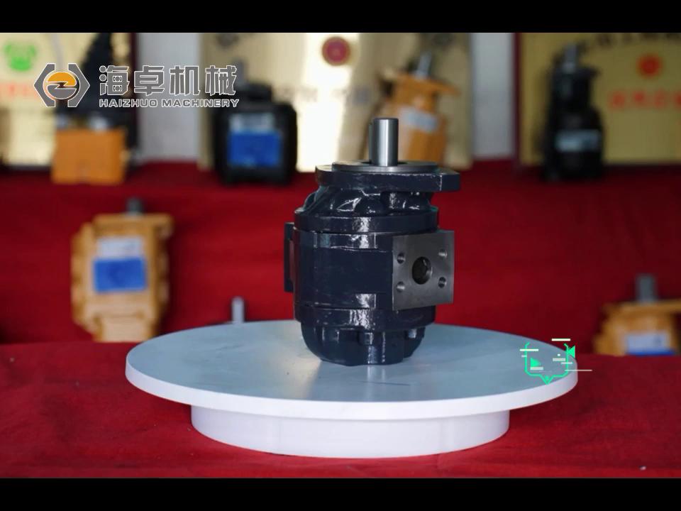 4120000171 Cbgj2080/1010 pump