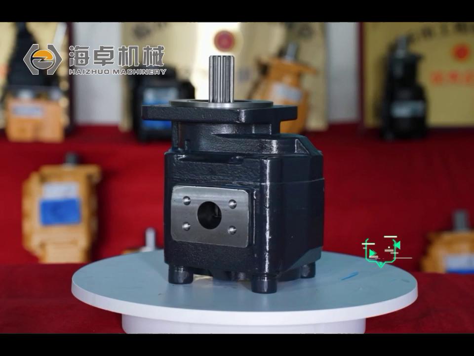 Jhp3100 Foton pump