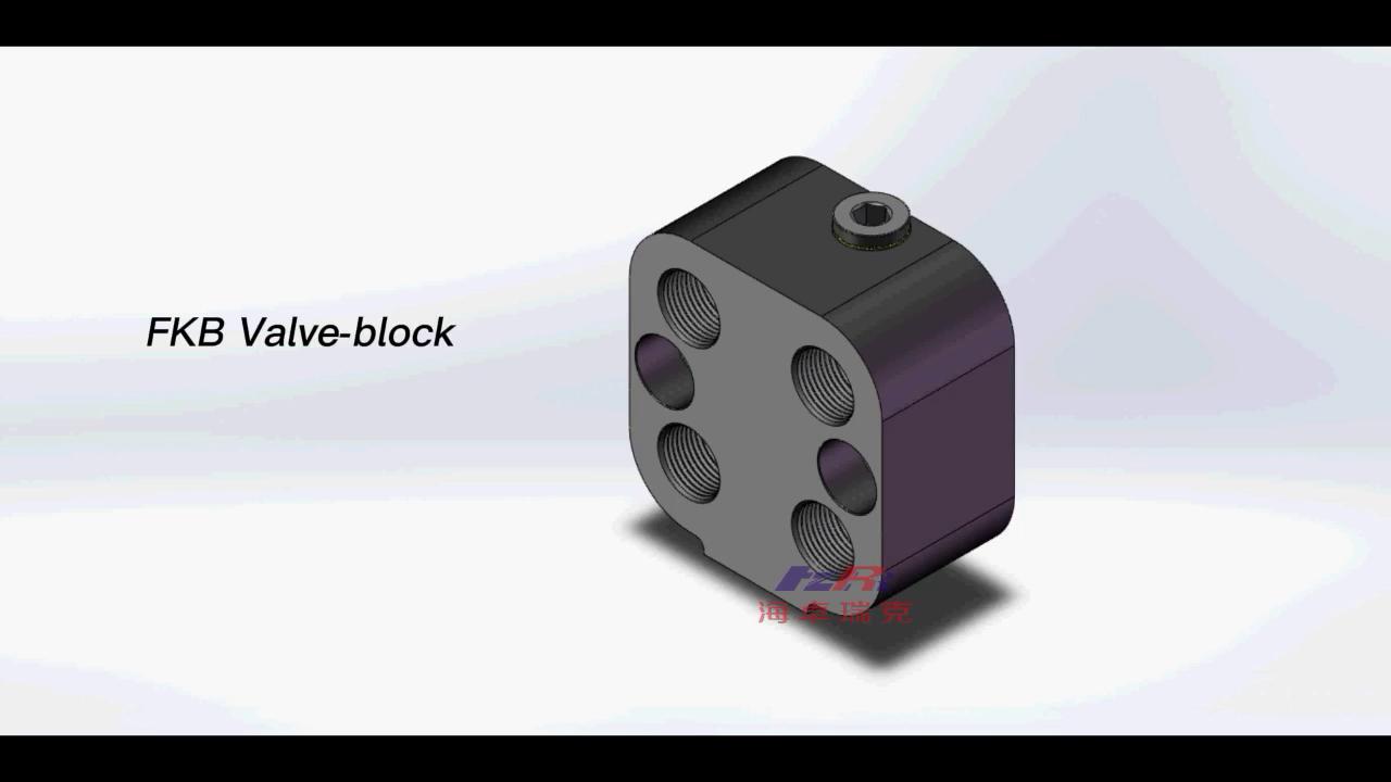 FKB Manifold Block